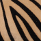 Zebra Camel