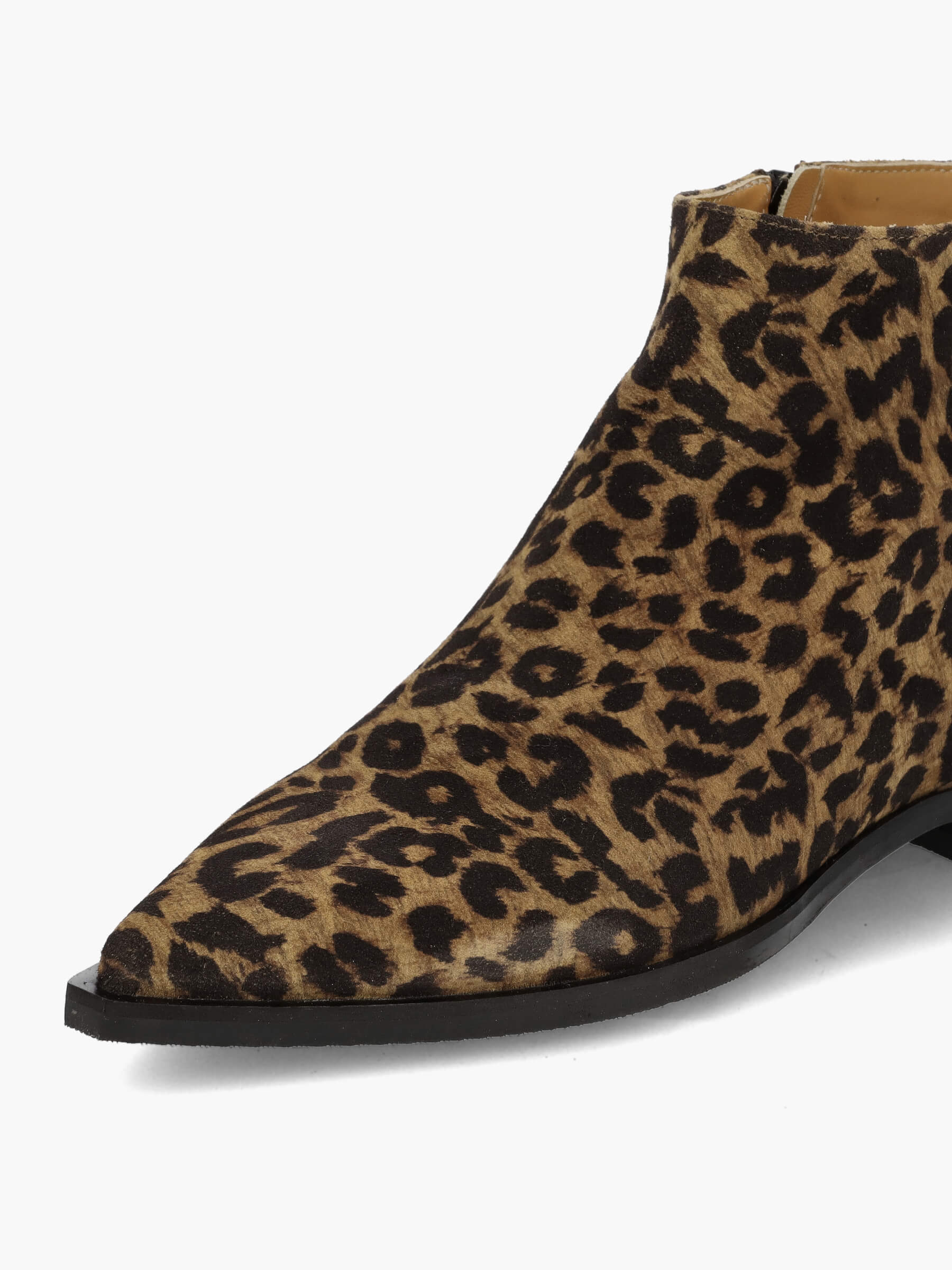 Stiefeletten cognac leo, Bekleidung, Schuhwerk, Schuh, Sneaker