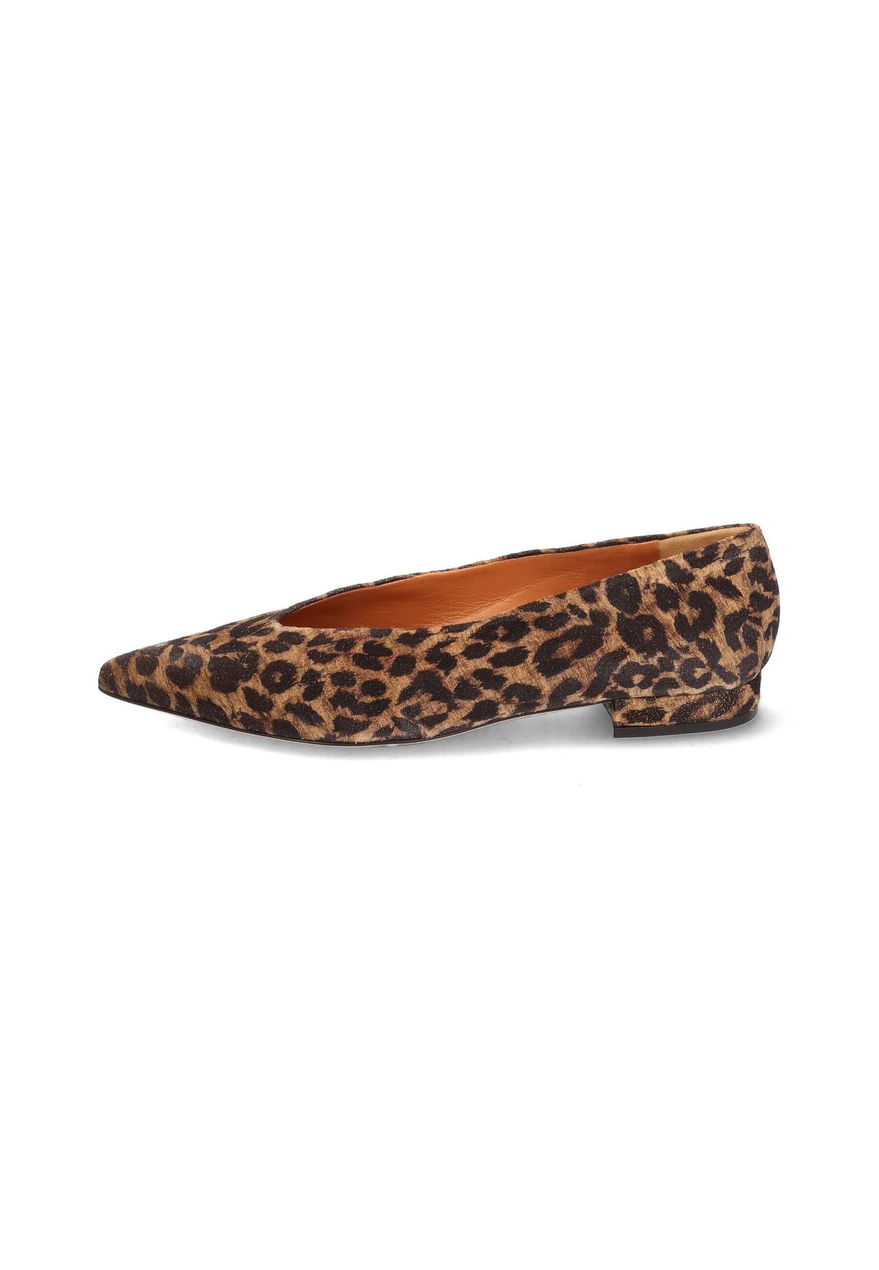 Ballerinas leo, Bekleidung, Schuhwerk, Schuh, Wildleder