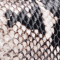 Snake Natur