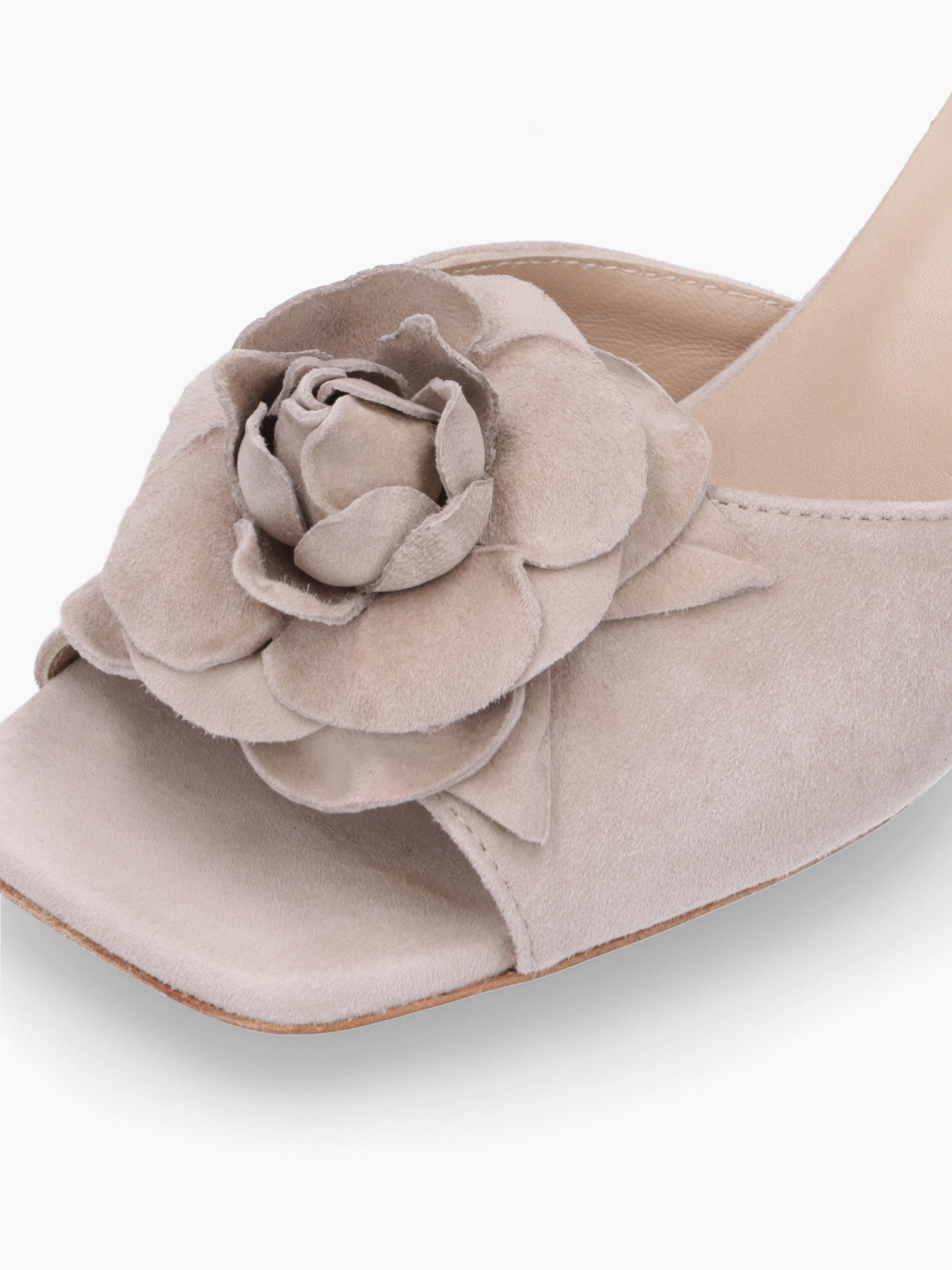 GANKO Veloursleder Beige, Bekleidung, Schuhwerk, Schuh, Pflanze, Rose