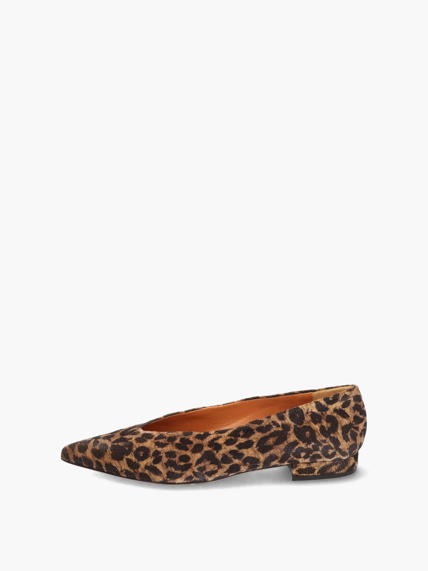 Ballerinas leo, Bekleidung, Schuhwerk, Schuh, Wildleder
