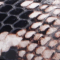 Snake Natur