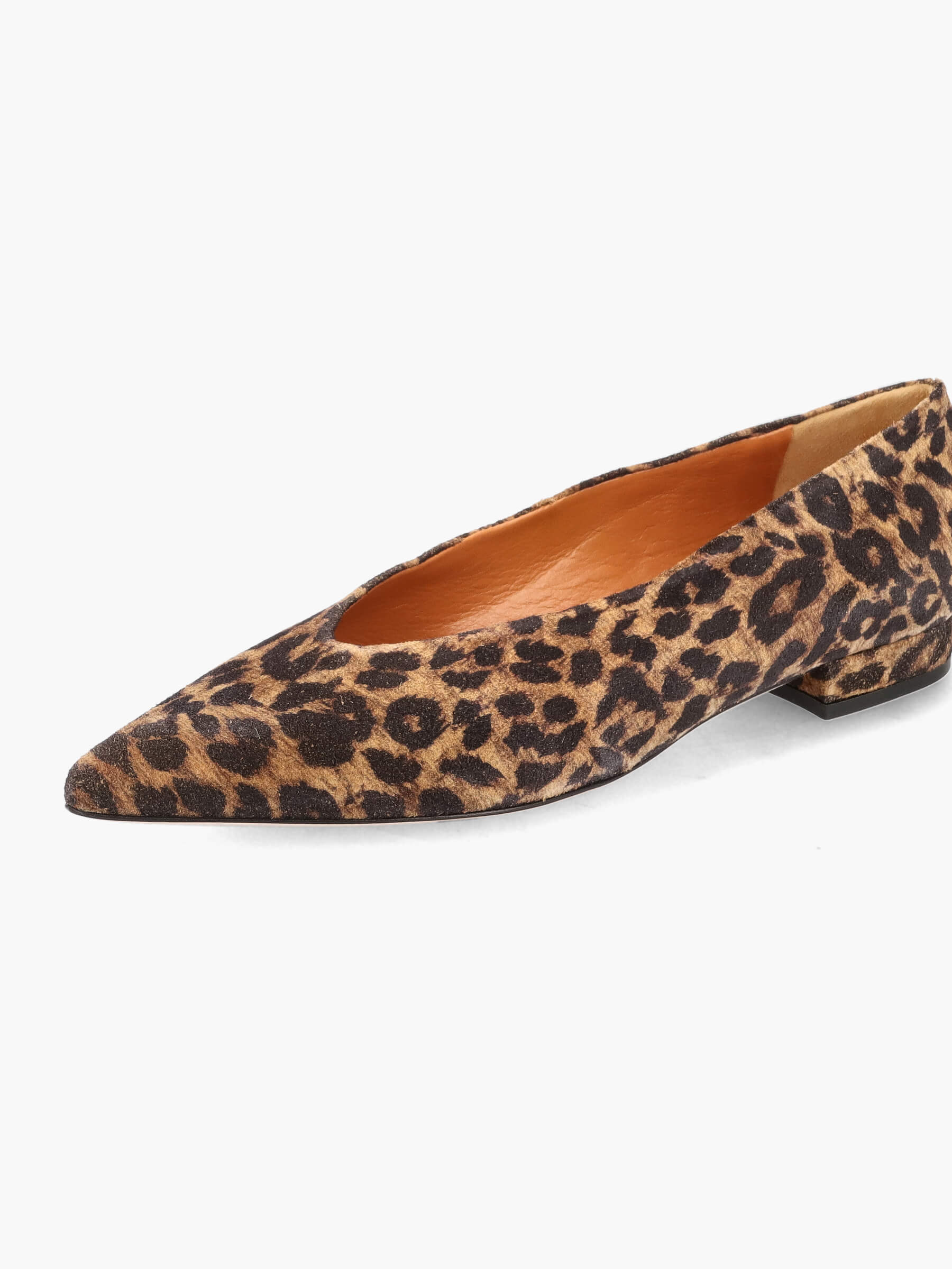 Ballerinas leo, Bekleidung, Schuhwerk, Schuh, Wildleder, Hoher Absatz