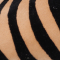 Zebra Camel