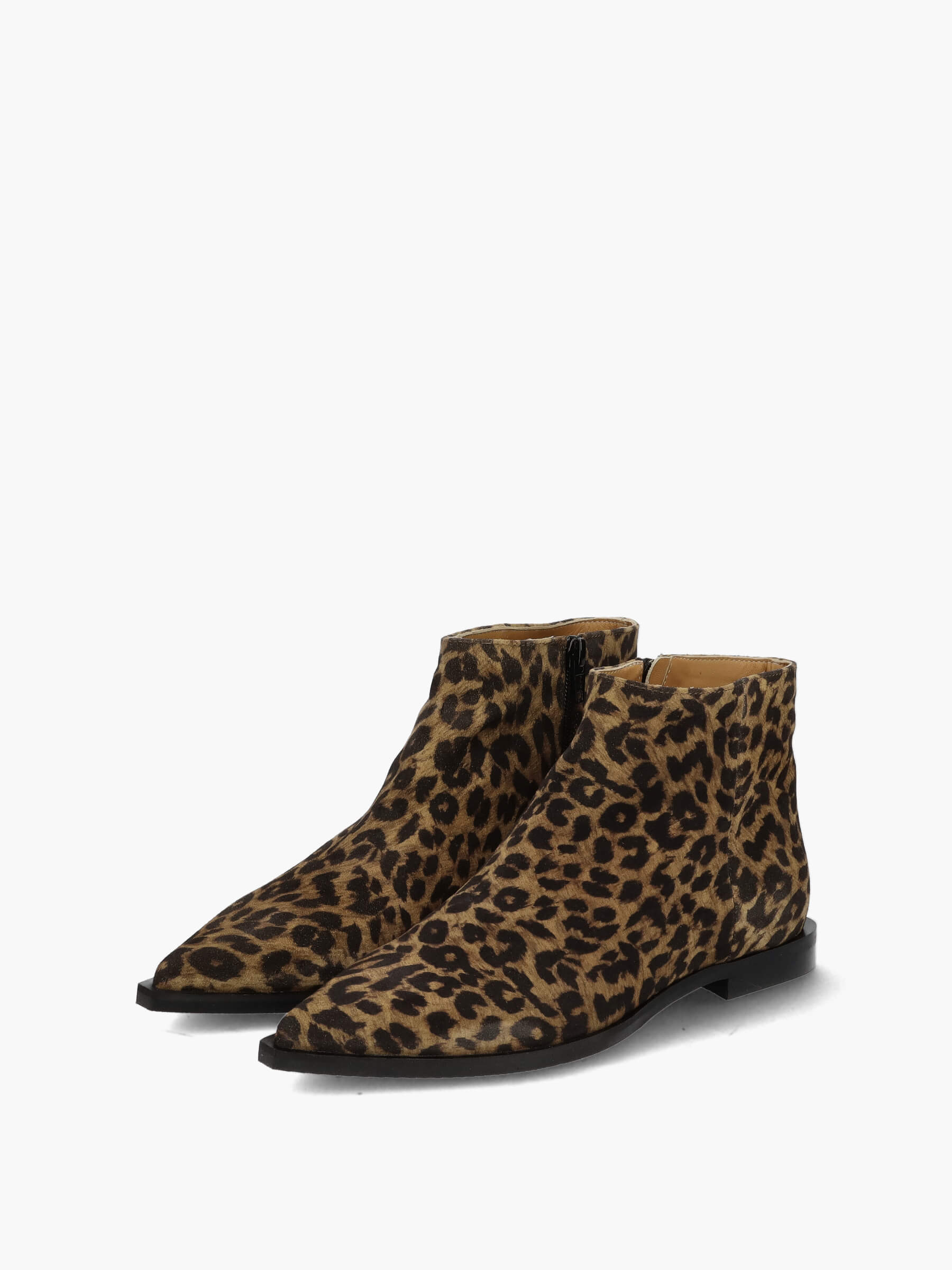 Stiefeletten cognac leo, Bekleidung, Schuhwerk, Schuh, Sneaker