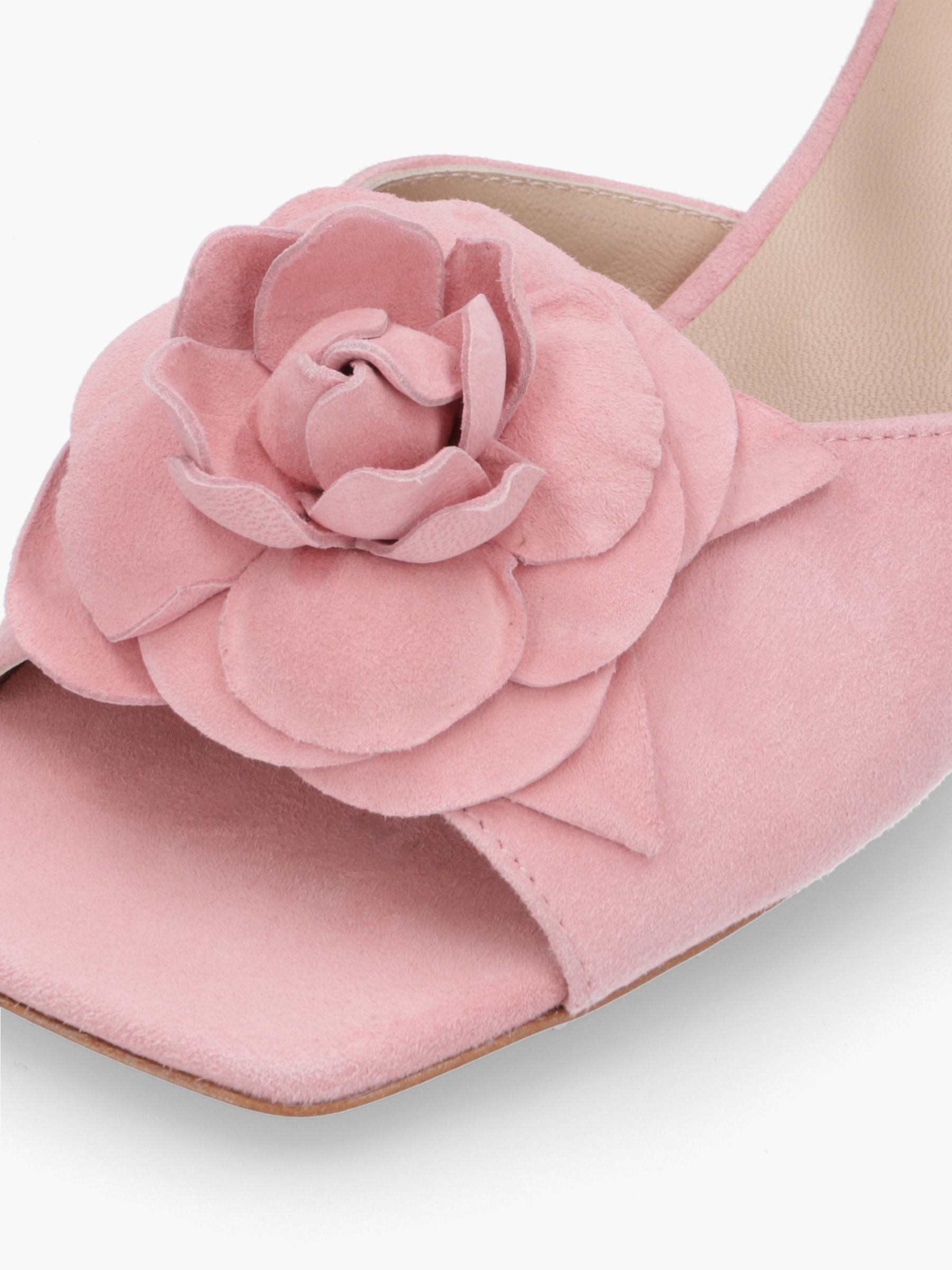 GAARA Veloursleder Rosa, Bekleidung, Schuhwerk, Schuh, Pflanze, Rose