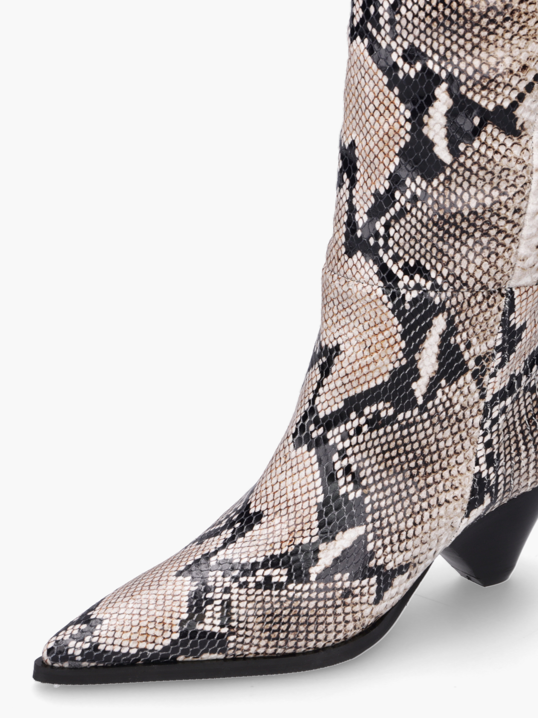 Schuhwerk, Schuh, Hoher Absatz, Reptil, Schlange