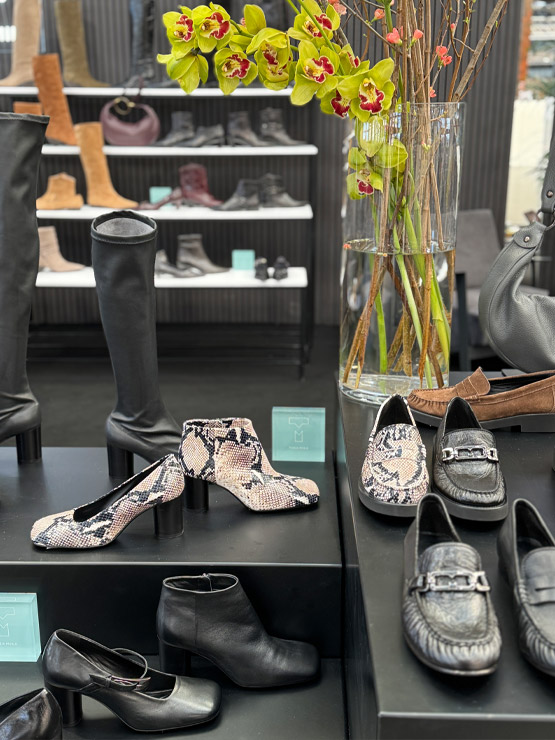 Schuhwerk, Schuh, Sneaker, Hoher Absatz, Geschäft