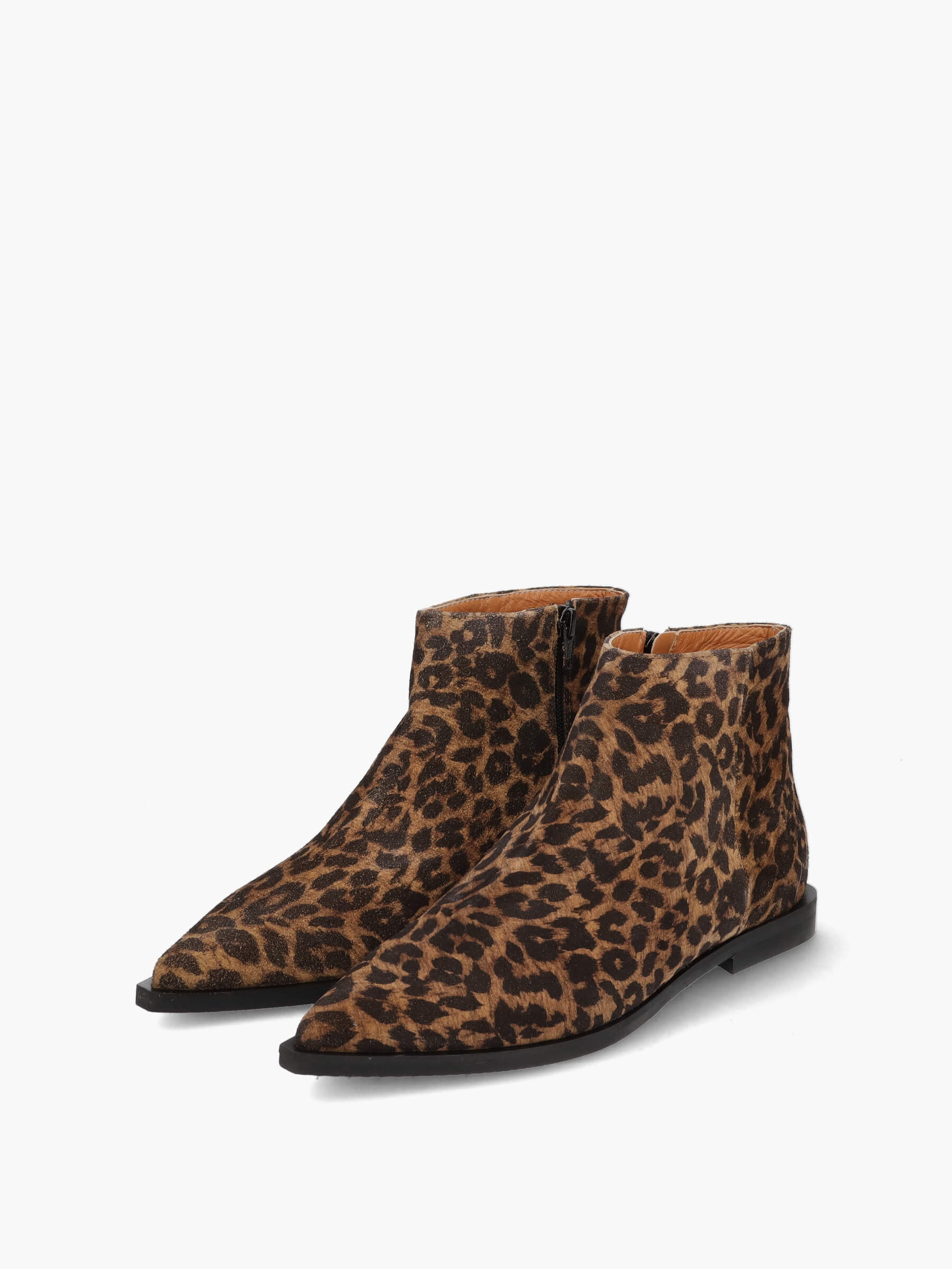 Stiefeletten leo, Bekleidung, Schuhwerk, Schuh, Wildleder