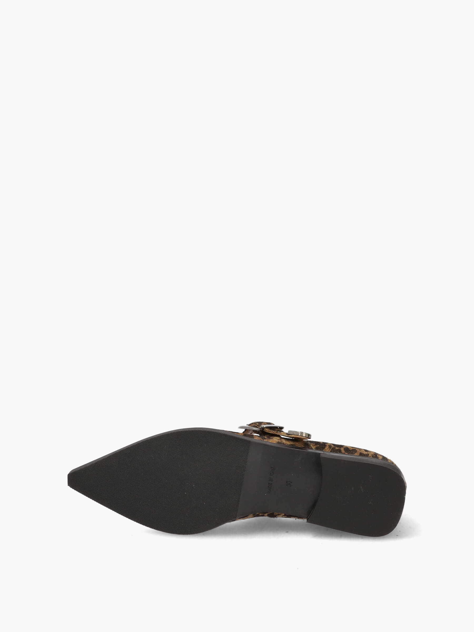 Ballerinas leo, Waffe